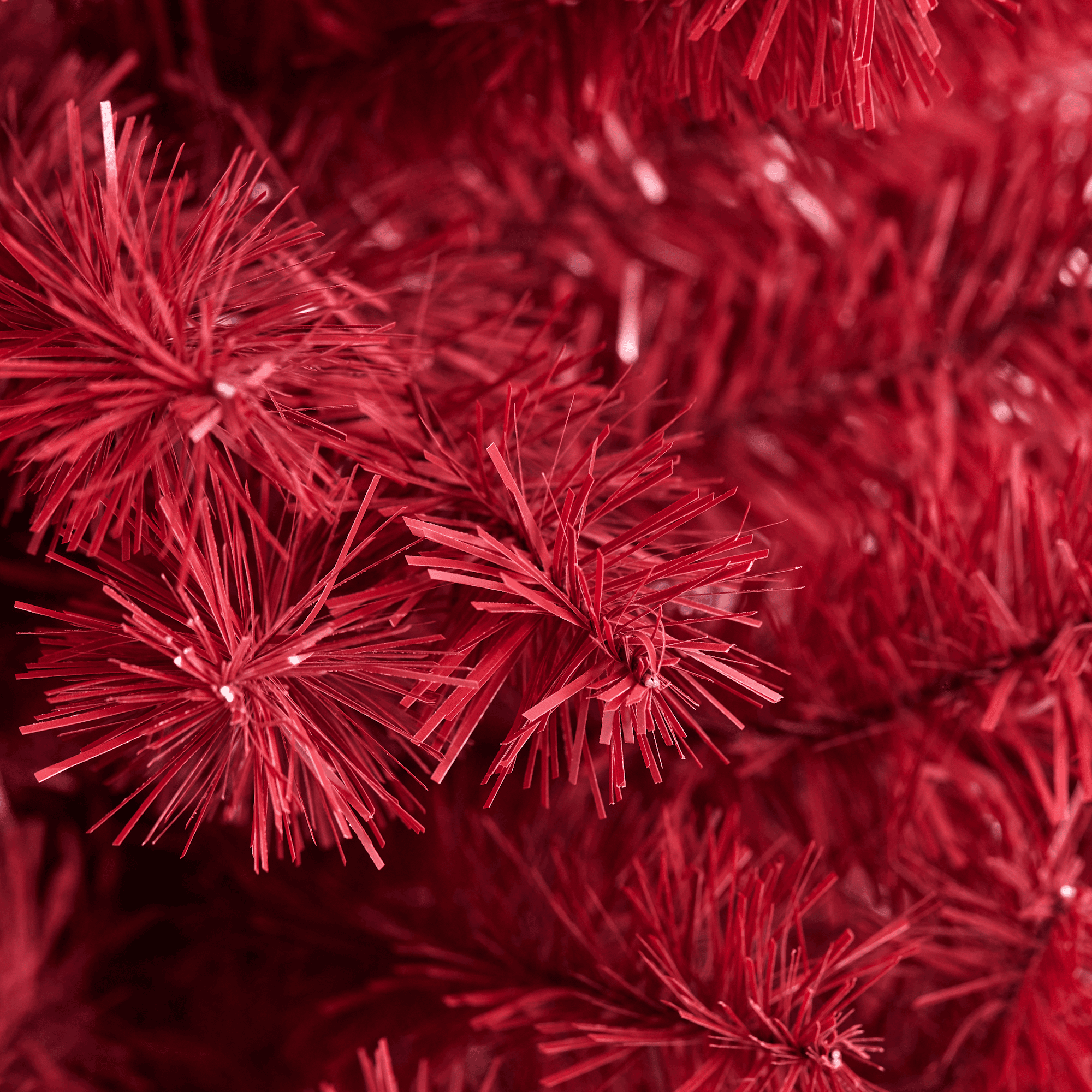 Image.aspx?id=cbd557e7-2882-4b5f-a0da-88d81df206ee