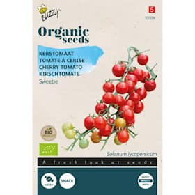 Buzzy Organic cherrytomat Sweetie økologiske frø