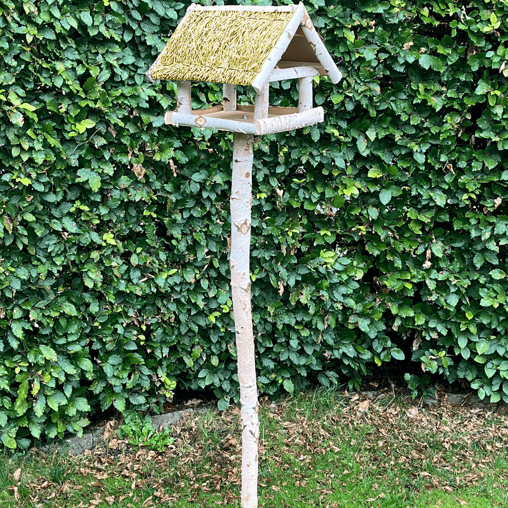 Image.aspx?id=13158d78-029e-42ca-997e-feb84481e6dc