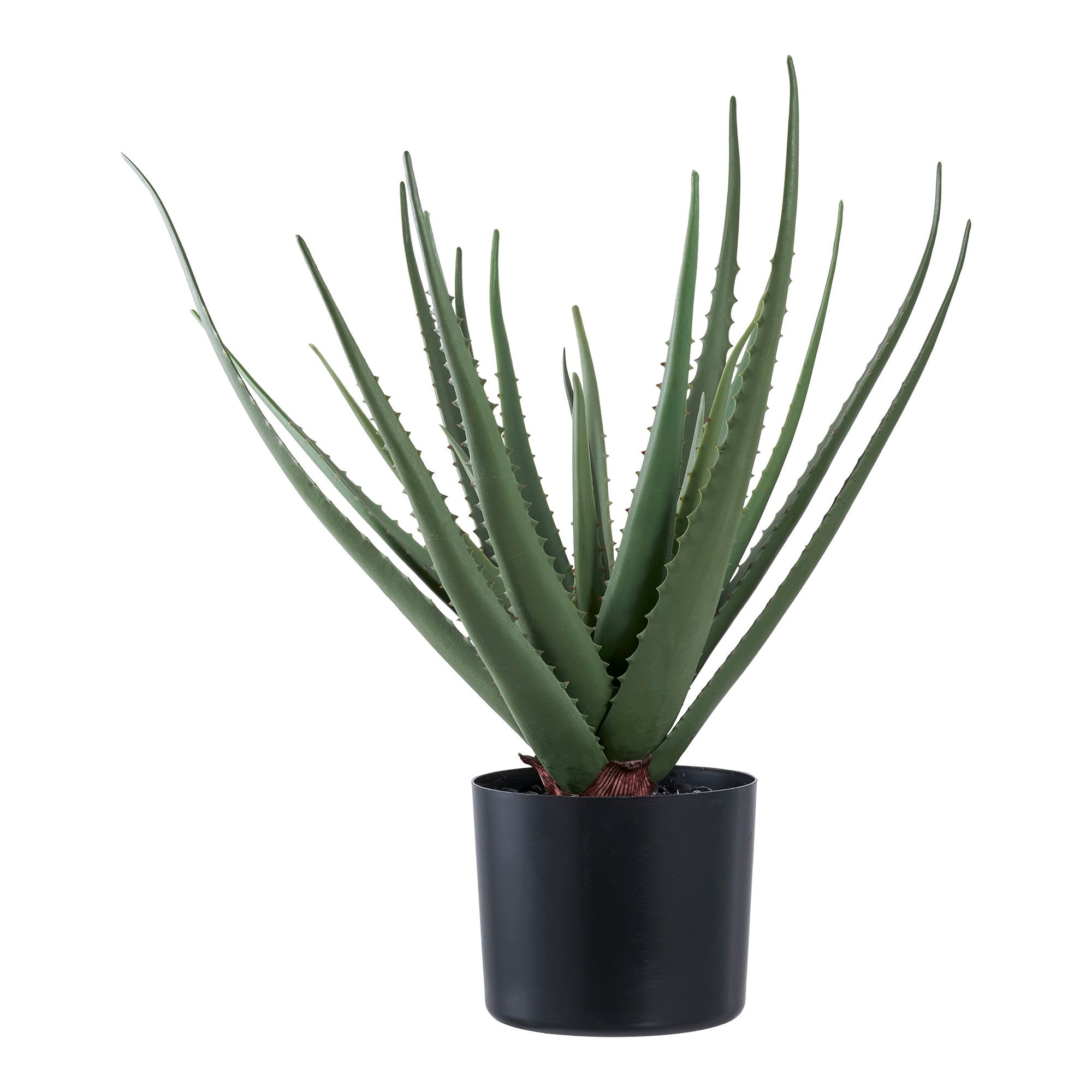 House Nordic Aloe Vera kunstig plante i grøn H51 cm
