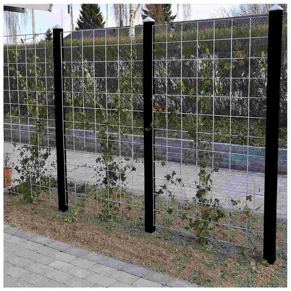 Hortus rionet espalier 3 fag 90 x 120 cm med beslag og 4 sorte stolper 240 cm