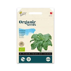 Buzzy Organic spinat Giant Winter økologiske frø