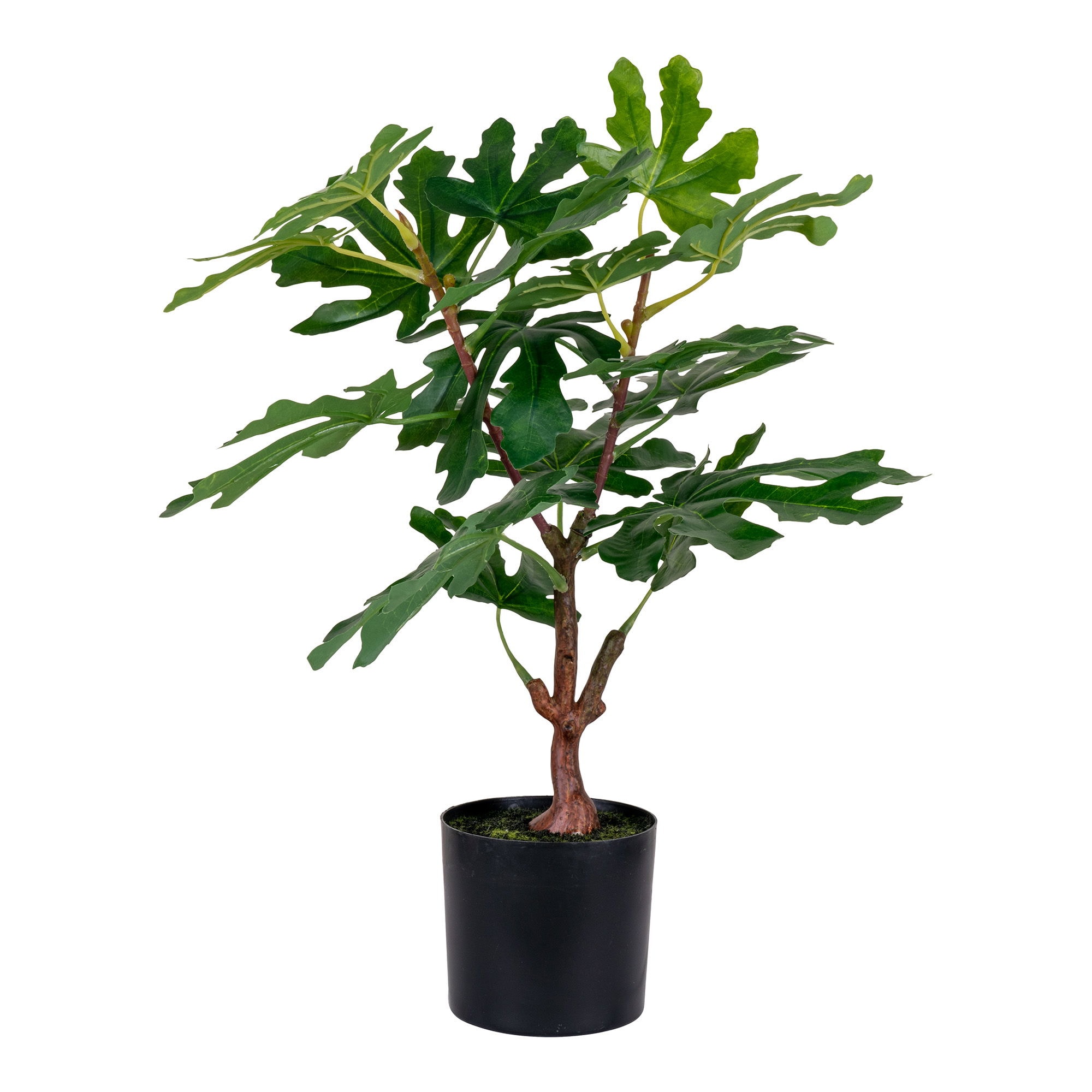 House Nordic Figentræ kunstig plante i grøn H60 cm