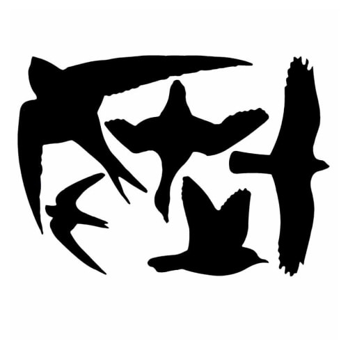 Esschert Design Rovfugl klistermærker til vindue