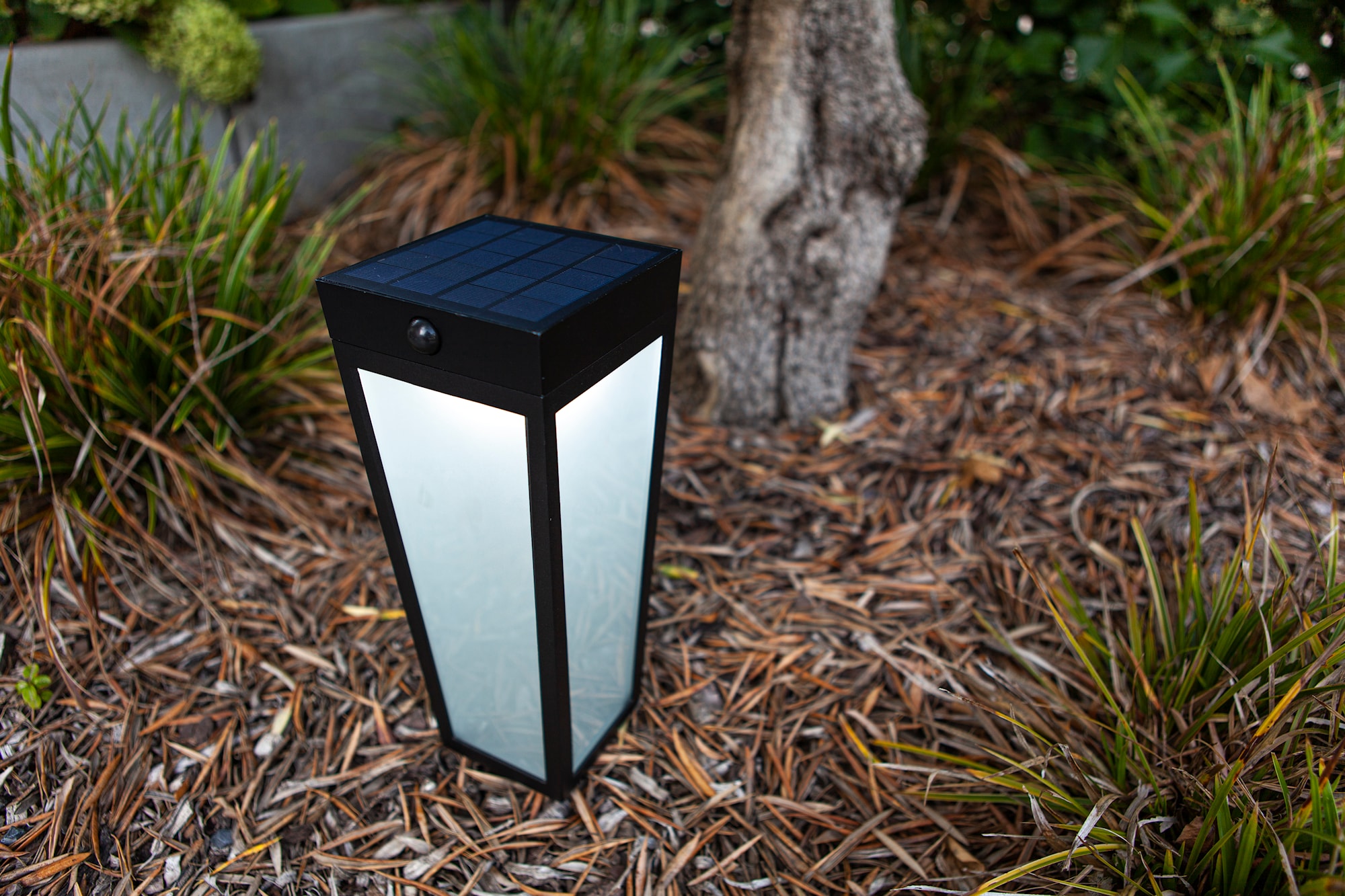 6996601012_6939412089126 (8).jpg