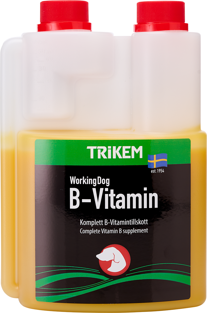 Working Dog B-Vitamin 500 ml