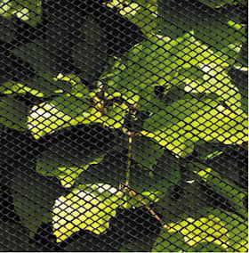 Hortus insektnet i sort plast 1,9 x 1,9 mm 60 cm x 2,5 meter