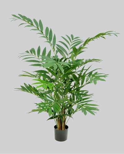 Silkeplanter kunstig Parlour palme H125 cm