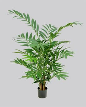 Silkeplanter kunstig Parlour palme H125 cm