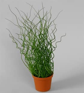 Silkeplanter kunstig lyssiv H40 cm