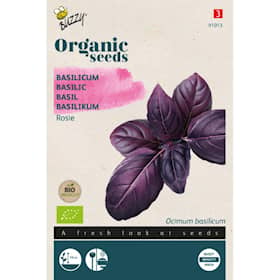 Buzzy Organic basilikum Rosie økologiske frø