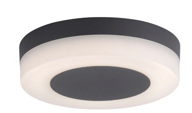 Paul Neuhaus Fabian udendørsvæglampe antracit Ø215 mm