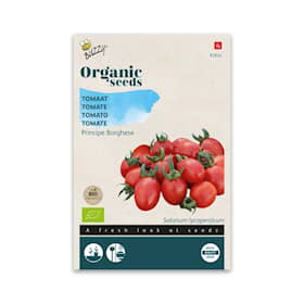 Buzzy Organic tomat Principe Borghese økologiske frø