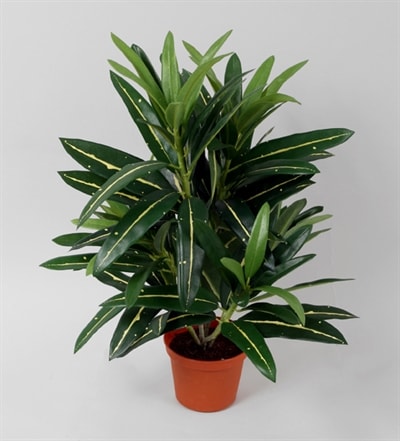 Silkeplanter kunstig Croton H40 cm