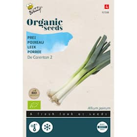 Buzzy Organic porre Leek De Carentan 2 økologiske frø