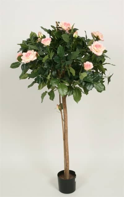 Silkeplanter kunstig rosentræ rosa H110 cm