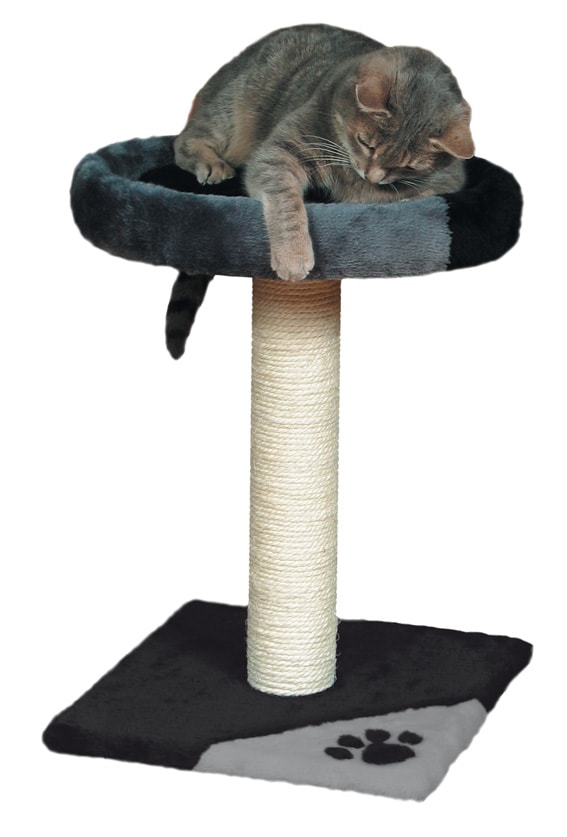 Trixie Junior Tarifa Kradsetræ 52 cm Grå/Sort