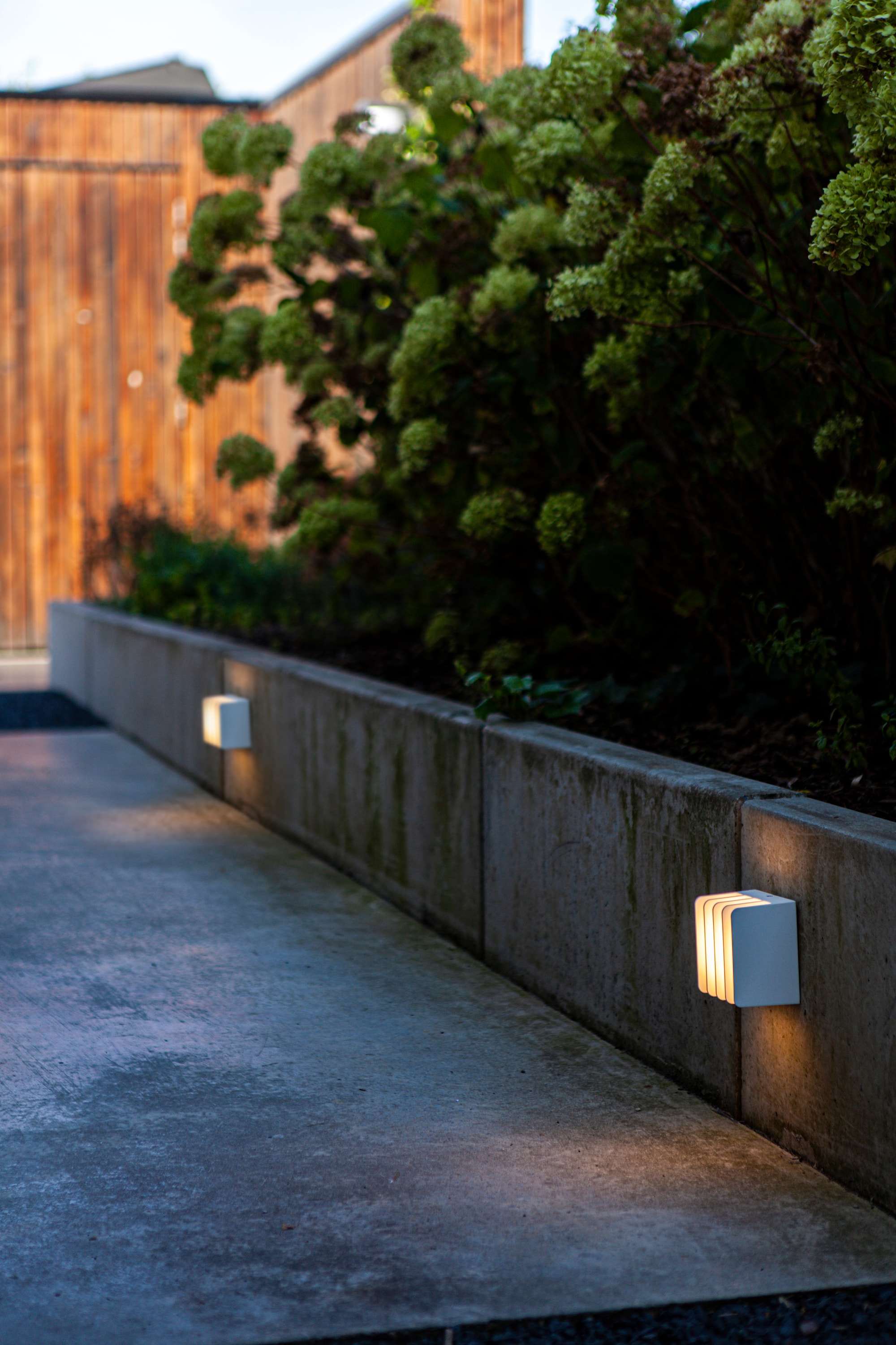 5289401469_6939412014937 (13).jpg