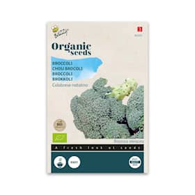 Buzzy Organic broccoli Calabrese Natalino økologiske frø