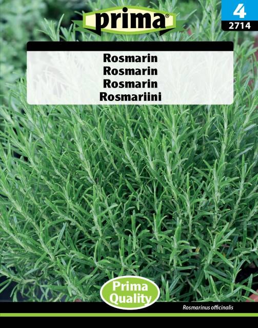 Prima rosmarin frø til ca. 10 planter