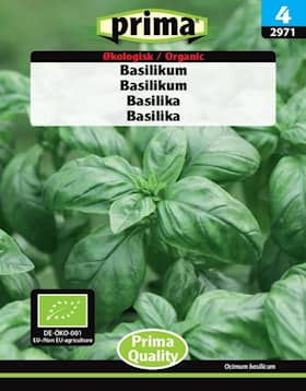 Prima økologisk basilikum frø til ca. 150 planter