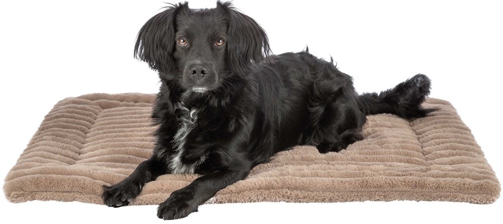Trixie Lonni Bed Mat Corduroy Plush Light Brown 90x130 cm