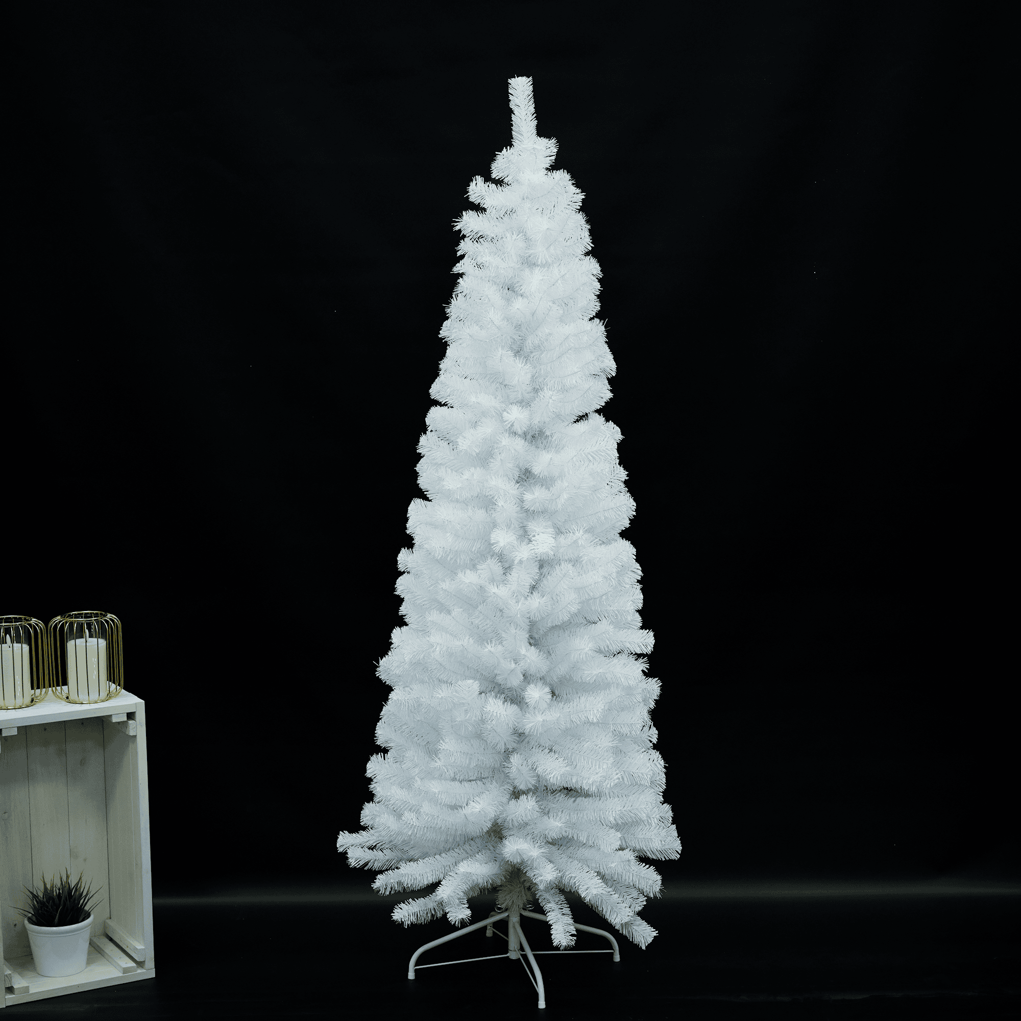 Image.aspx?id=71307a5c-91d5-4a9d-9c1a-91a463becf04