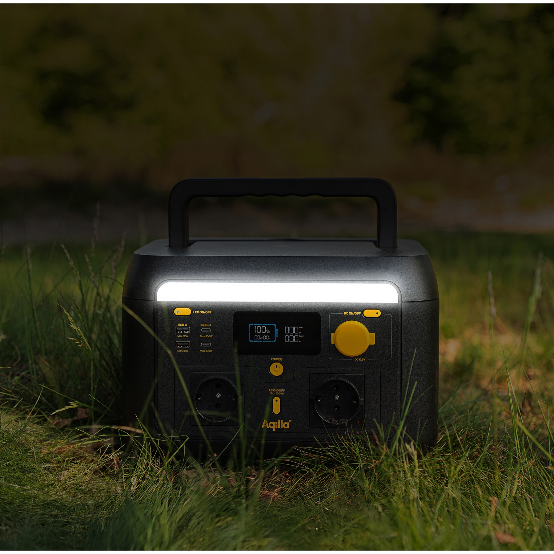 Aqiila_1000W_Nature_LED-light[1].jpg
