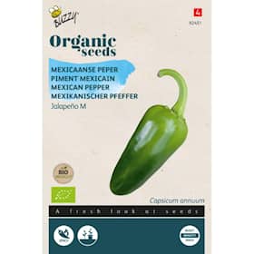 Buzzy Organic chilipeber meksikansk Jalapeno M økologiske frø