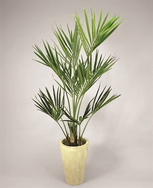 Silkeplanter kunstig Kentia palme H120 cm