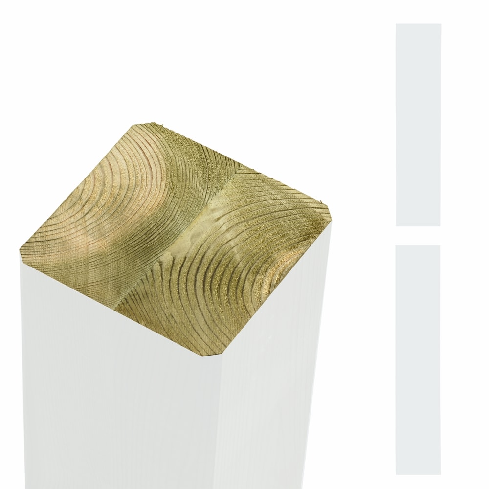 Plus omlimet stolpe/drager lige afskåret grundmalet hvid 9 x 9 x 298 cm