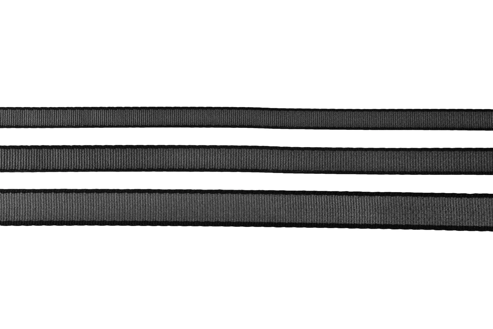 move_leash_3[1].webp