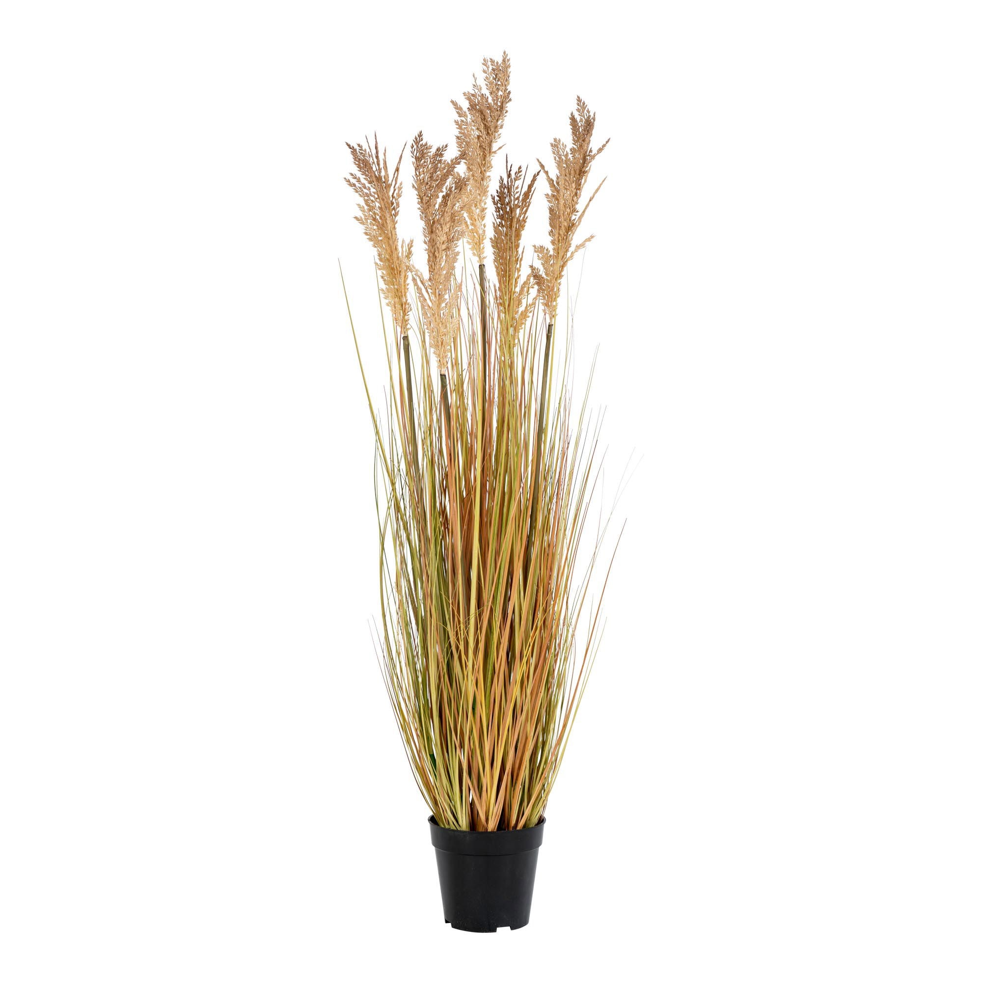 House Nordic Sorghum Grass kunstig plante i natur H110 cm