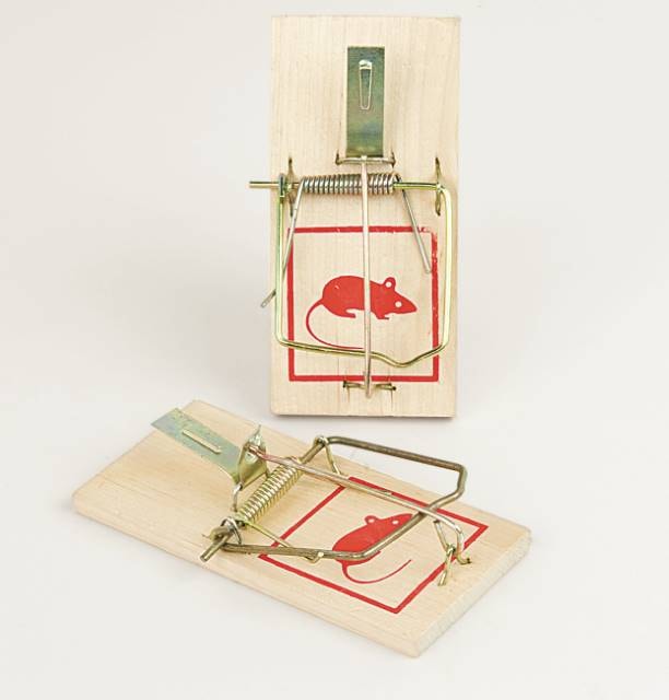 Bonus musefælde i træ 2-pak