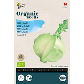 Buzzy Organic kålrabi Korist F1 økologiske frø