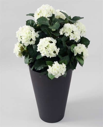 Silkeplanter kunstig Hortensia træ limegrøn H65 cm