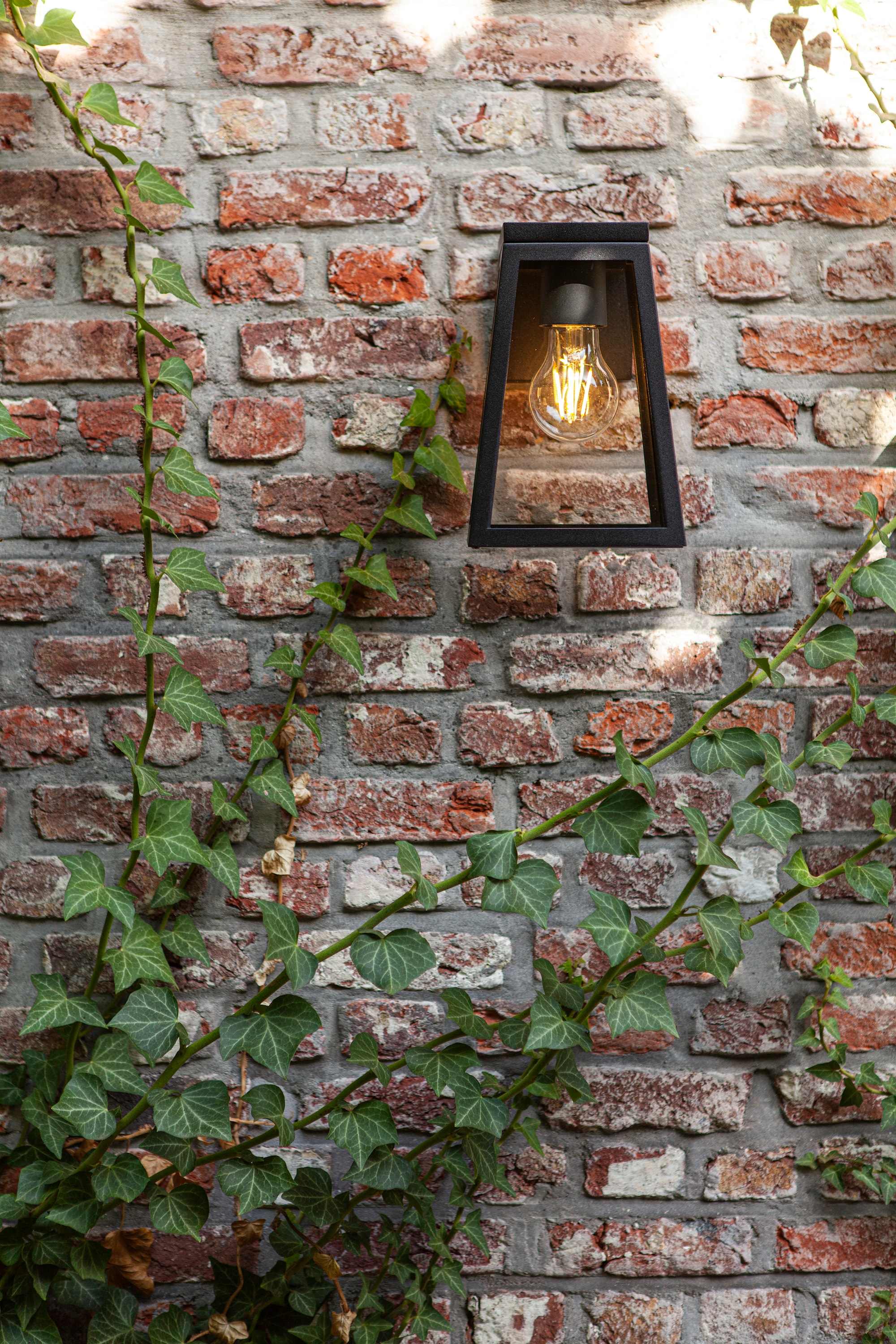 6990901012_6939412014999 (8).jpg