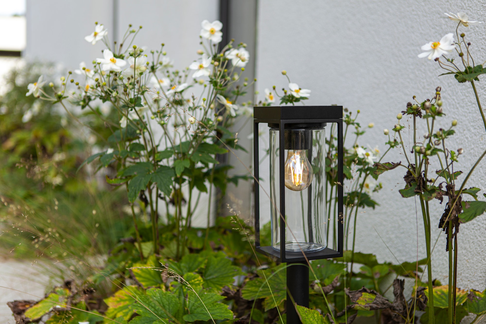 6988802012_6939412070766 (7).jpg