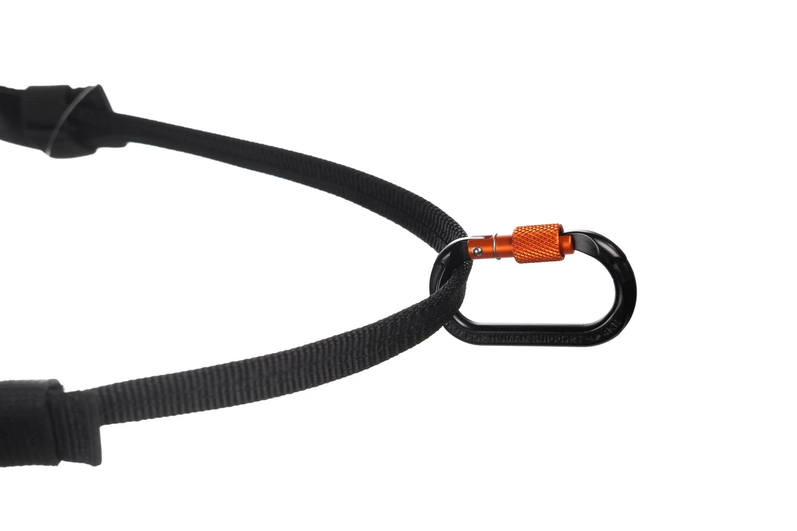 canix_belt_3[1].webp