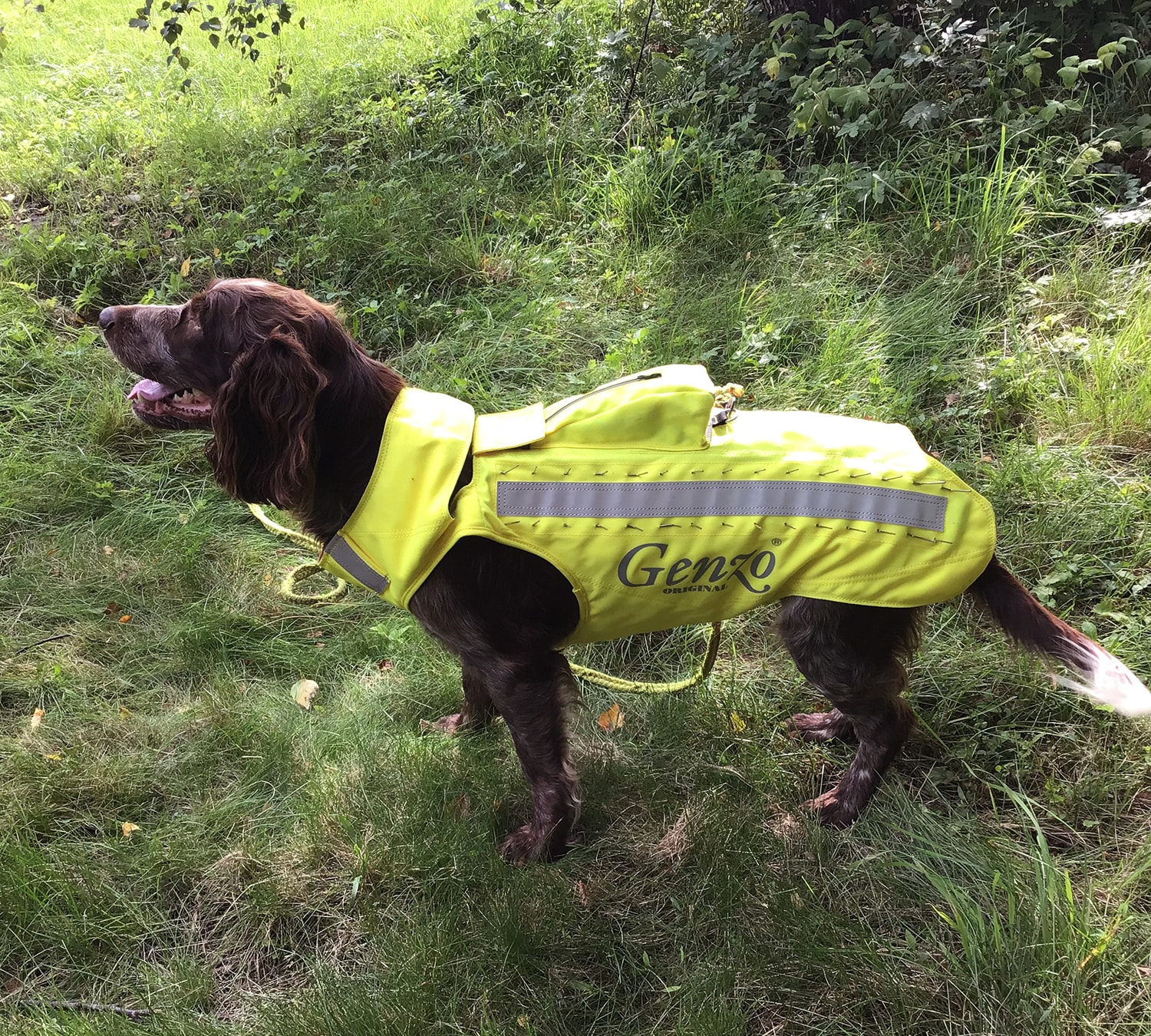 8b277332-0573-4020-96dd-66b45fff6784[1]