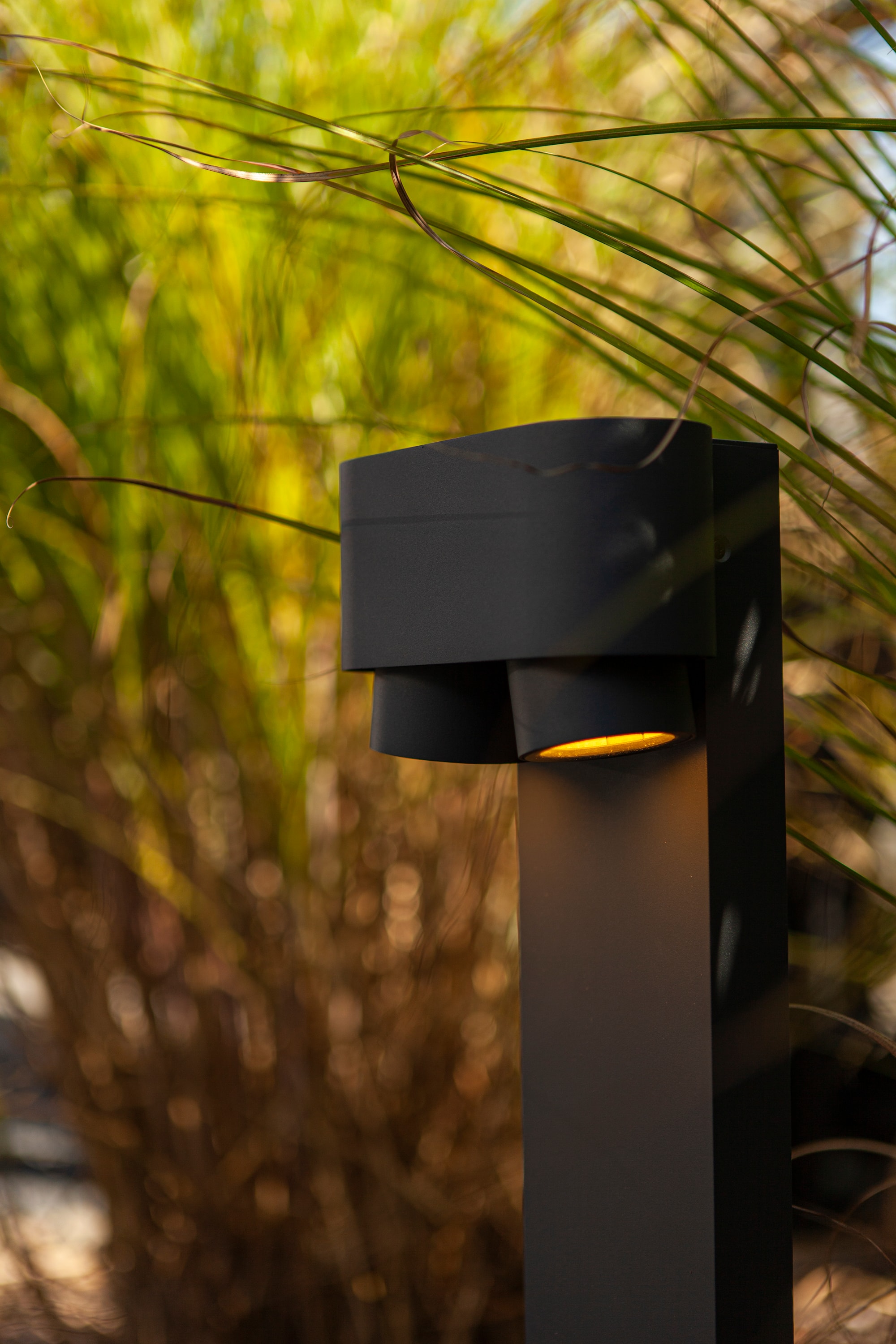 6604004118_6939412070742 (7).jpg