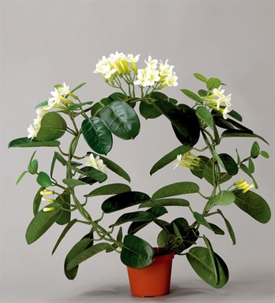 Silkeplanter kunstig duftranke på bøjle H40 cm