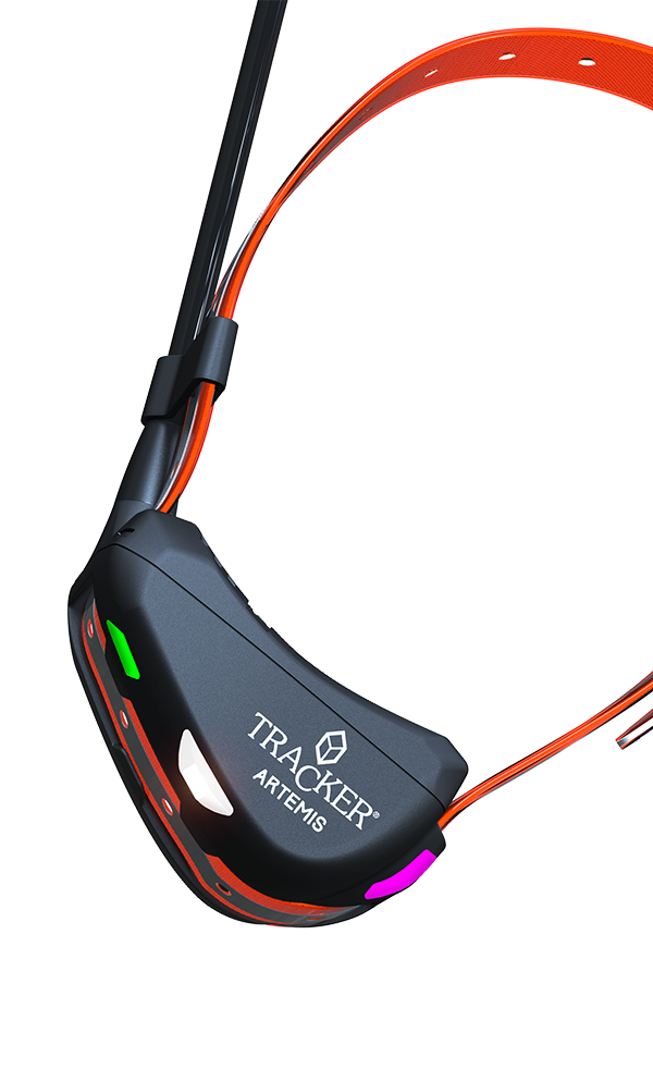 Tracker Artemis Easy Hundepejl