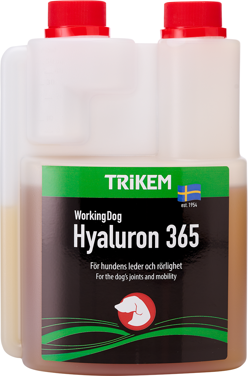 Working Dog Hyaluron365 500 ml