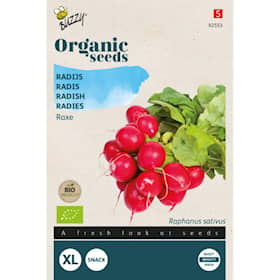 Buzzy Organic radise Raxe økologiske frø