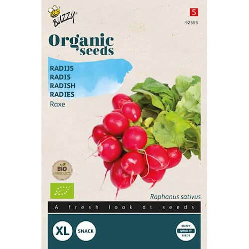 Buzzy Organic radise Raxe økologiske frø