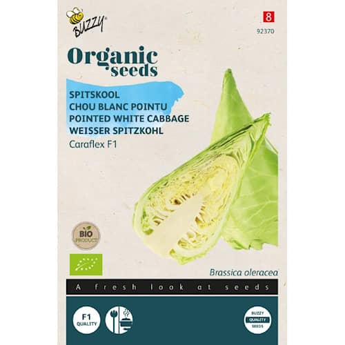 Buzzy Organic spidskål Caraflex F1 økologiske frø