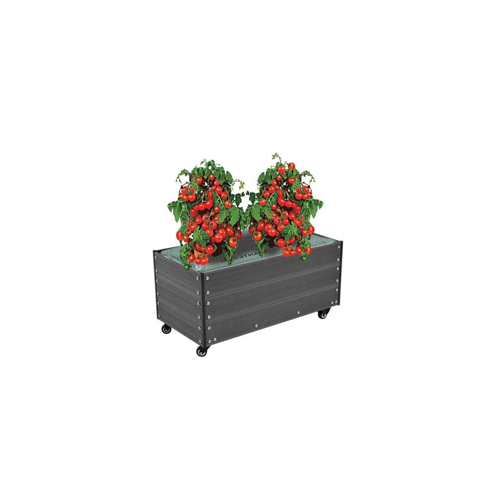 Hortus kapilærskjuler i WPC komposit med hjul 30 x 50 x 90 cm - Potter, Havedyrkning
