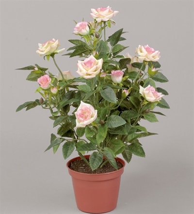 Silkeplanter kunstig rosenbusk rosa H33 cm