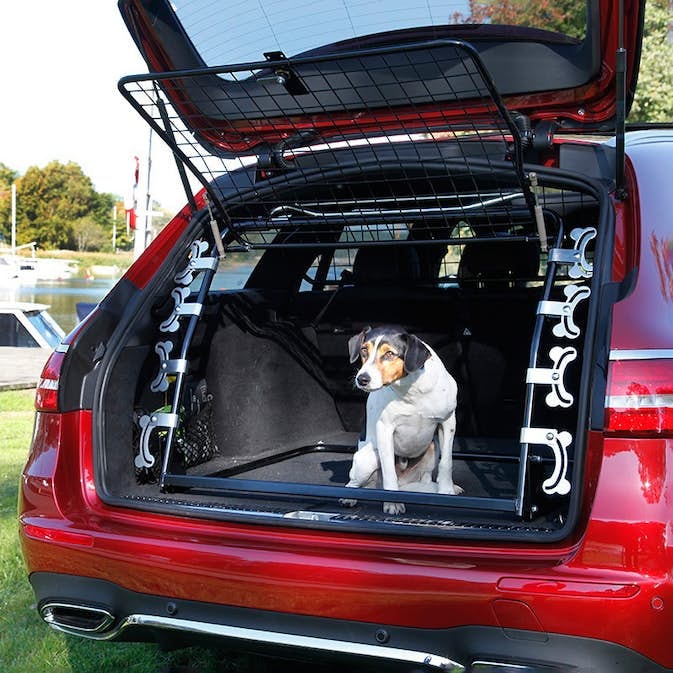 hundgrind-artfex-modell-1-enkeldorr__e86603f2-dfa5